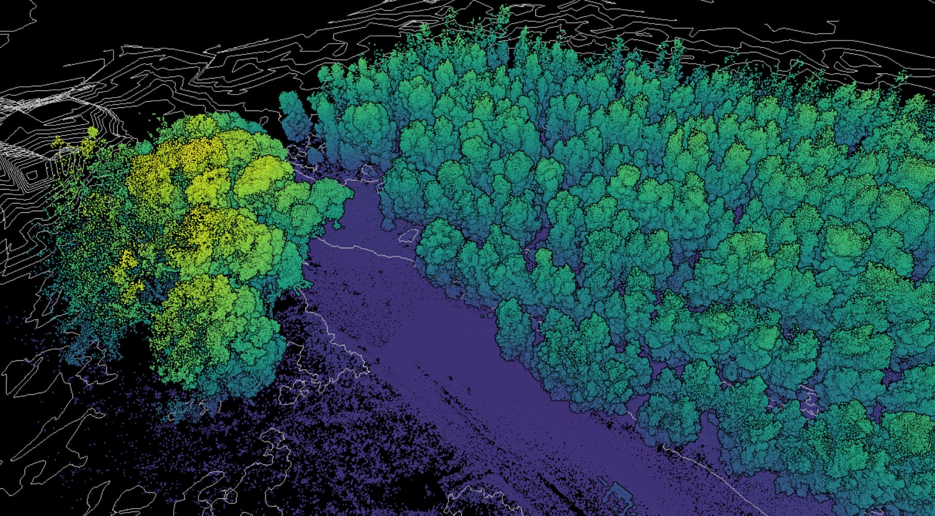 Aerial LiDAR scan of land and trees captured using Sensorem drone technology.